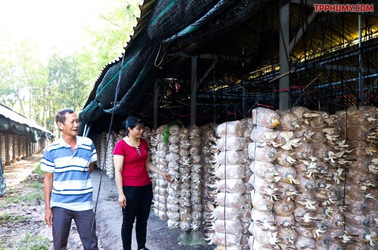Mỗi ngày gia đình chị Nguyễn Thị Hoài, ở ấp 1, xã Tóc Tiên (TX. Phú Mỹ) cung cấp khoảng 400kg nấm bào ngư xám cho thị trường trong tỉnh.