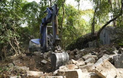 Tháo dỡ công trình xây dựng trái phép trên đất rừng phòng hộ núi Thị Vải